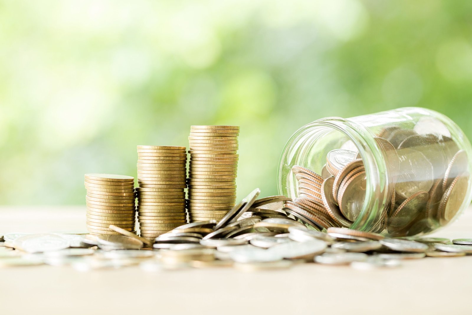 Fund a participating whole life policy